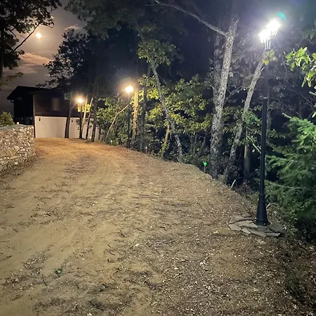 Elias Villa
