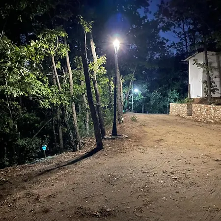 Elias Villa